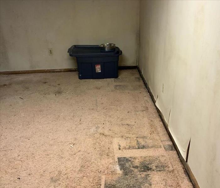 A bedroom is heavily damaged with mold.