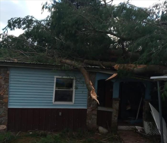 image of trees split and laying on top of a small home