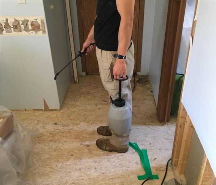 SERVPRO team member sprays sanitizers on a mold infested room.