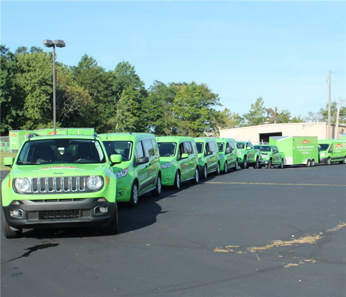 SERVPRO vehicles lined up.