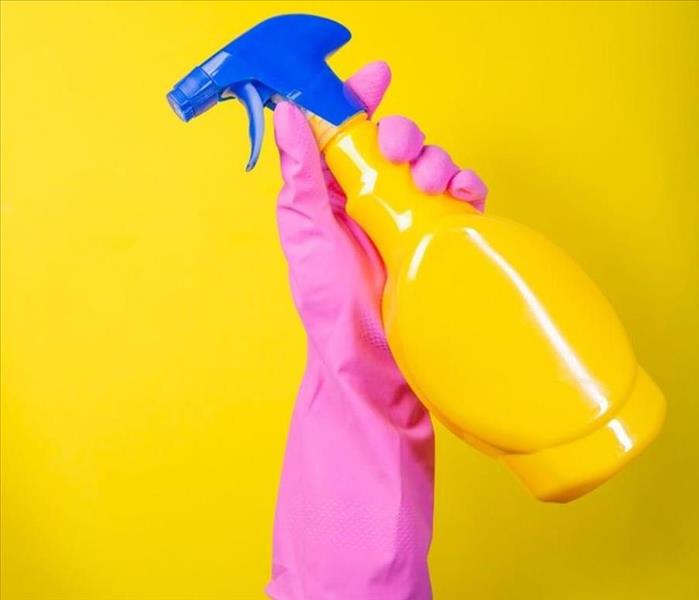 image of spray bottle and sanitary gloves
