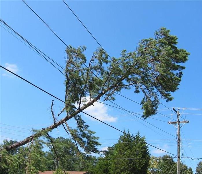 image of tree fallen onto a power line post storm 